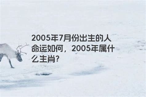 2006出生|2006 年出生属什么生肖